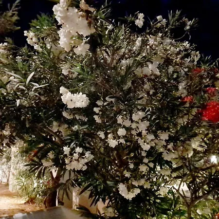 Maroulis Hotel Mikri Vigla