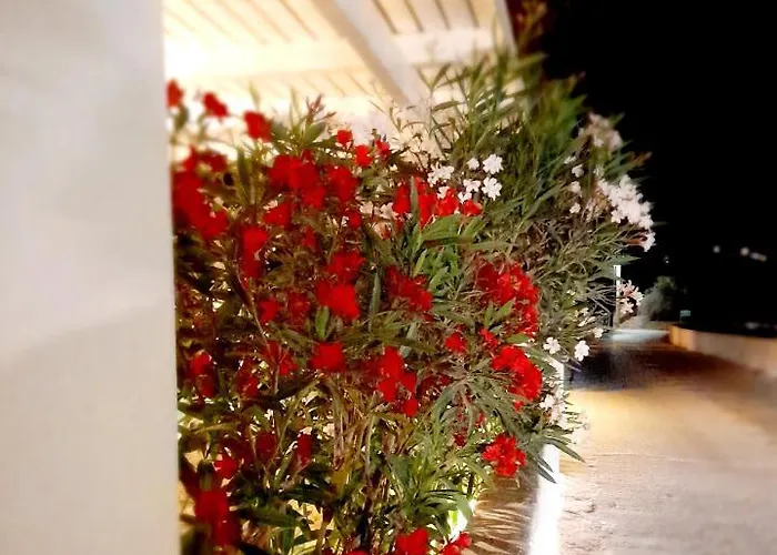 Hotel Maroulis Mikri Vigla